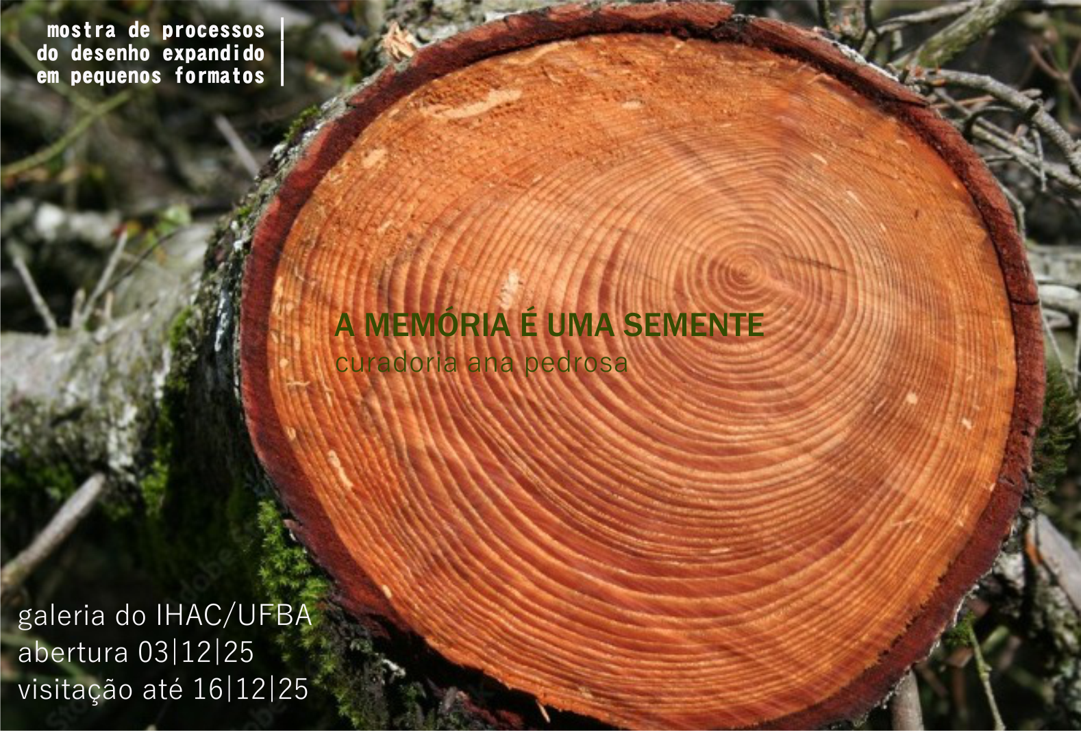 Exposição “A memória é uma semente” entra em cartaz na Galeria do IHAC Exposição “A memória é uma semente” entra em cartaz na Galeria do IHAC